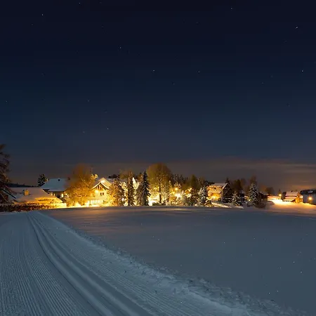 Hotel Und Restaurant Wolfensberg 3*