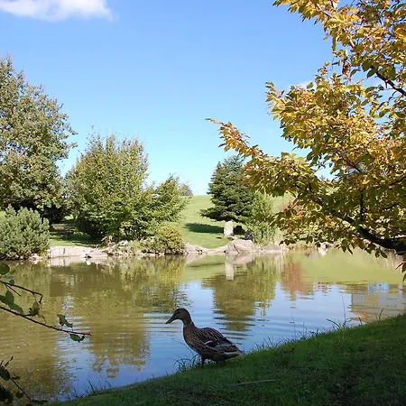 Hotel Und Restaurant Wolfensberg