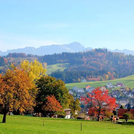 Und Restaurant Wolfensberg Hotell 3*