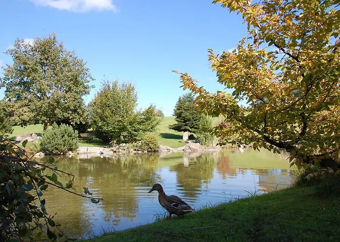 Hotel Und Restaurant Wolfensberg