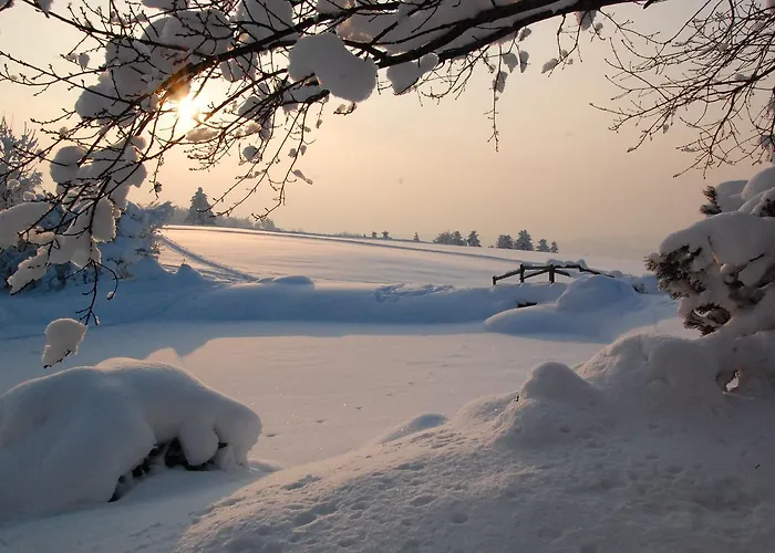 Und Restaurant Wolfensberg Hotel Degersheim