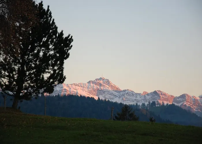 Und Restaurant Wolfensberg Hotel 3*