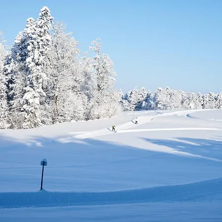 Hotel Und Restaurant Wolfensberg 3*