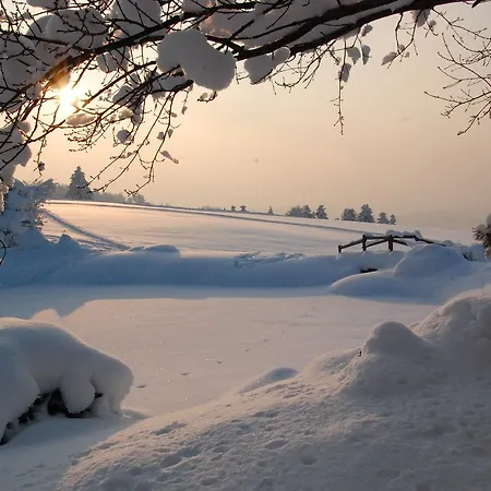 Und Restaurant Wolfensberg Hotel Degersheim