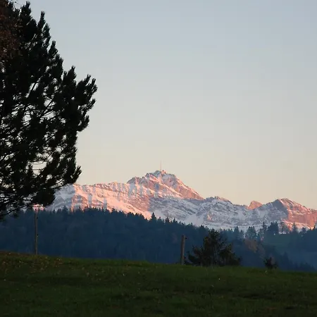 Und Restaurant Wolfensberg Hotel 3*