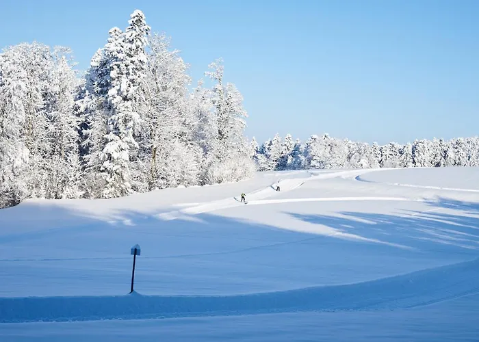 Hotel Und Restaurant Wolfensberg 3*