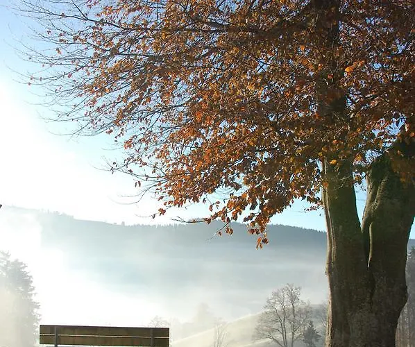 Und Restaurant Wolfensberg Hotel