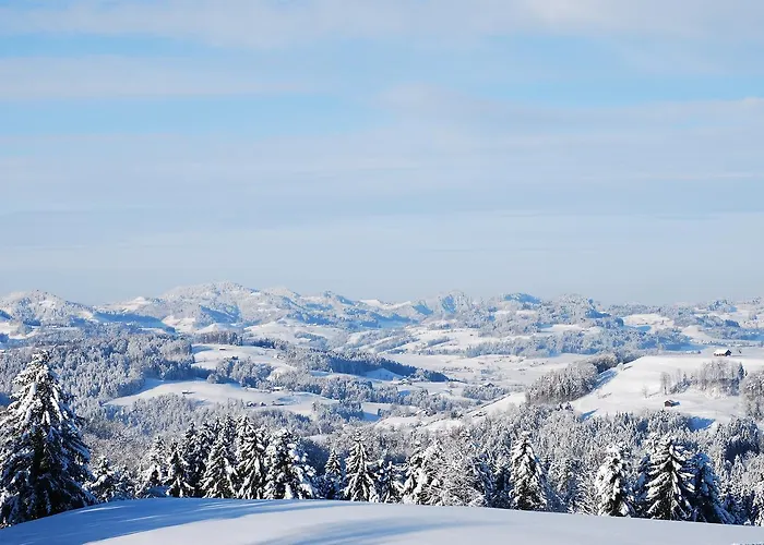 Hotel Und Restaurant Wolfensberg Degersheim