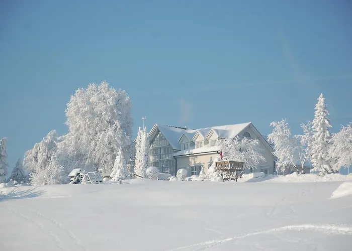 Und Restaurant Wolfensberg Hotel 3*